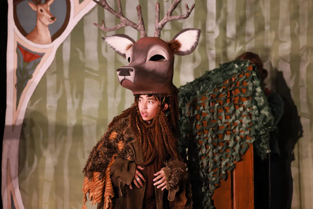 Professionally Designed Shows